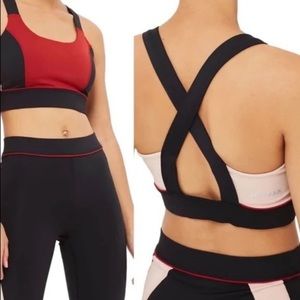 Ivy Park Colorblock Sports Bra